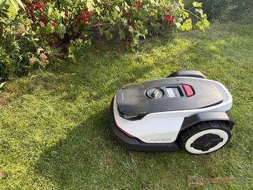 Als er daarentegen planten over de rand van het gazon hangen, zal de robotmaaier daar ruim omheen rijden.