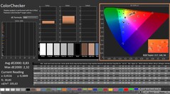 CalMAN: ColorChecker (gekalibreerd)