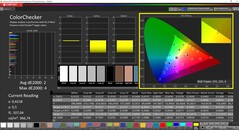 CalMAN - ColorChecker gekalibreerd