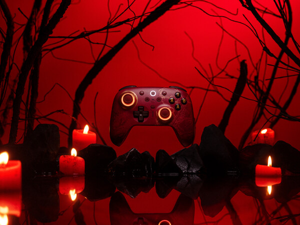 (Afbeeldingsbron: 8BitDo)