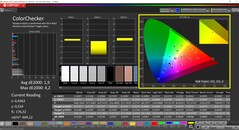 CalMAN ColorChecker (P3 doelkleurruimte)