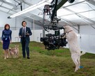 Om de aparte, op de jaren '70 geïnspireerde esthetiek van de show te bereiken, werden de camerabody's gecombineerd met Panavision C Series anamorphic lenzen. (Afbeeldingsbron: Apple TV+)