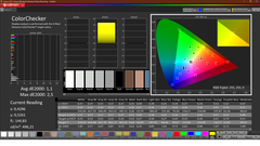 CalMAN: ColorChecker (gekalibreerd)