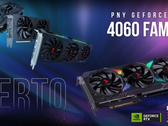 De RTX 4060-kaarten van PNY. (Bron: PNY)