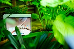 De OnePlus 4 is een uitstekende tablet, maar de ondersteuningsperiode is niet ideaal.