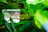 Recensie van de OnePlus Pad 4