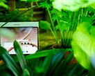 De OnePlus 4 is een uitstekende tablet, maar de ondersteuningsperiode is niet ideaal.