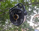 Geschikt voor het planten van bomen