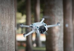 De Mini 3 Pro zou binnenkort gezelschap kunnen krijgen van een goedkopere drone die ook onder de Mini 3-serie wordt verkocht. (Afbeelding bron: DJI)