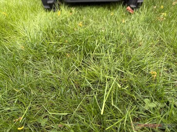 De Airseekers Tron laat langer gemaaid gras achter in de test...