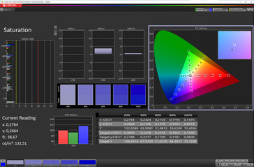 Kleurverzadiging (kleurenschema: Standaard, kleurtemperatuur: Standaard, doelkleurruimte: sRGB)