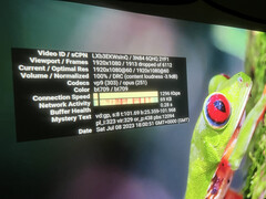 Streamen is niet echt haalbaar op de OmniStar L80. Het streamen van de Costa Rica-video op 1080p60 resulteerde in bijna een derde van de frames die wegvielen, wat onweerstaanbare stottering veroorzaakte.