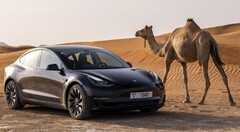 De AWD Tesla Model 3 Long Range is weer te bestellen. (Beeldbron: Tesla)