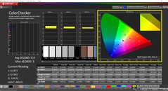 CalMAN ColorChecker (profiel: gekalibreerd, doelkleurruimte: P3)
