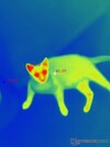 Biologische thermokleding