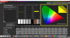 CalMAN ColorChecker (doelkleurruimte: DCI-P3)