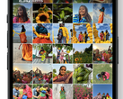 iOS 18 brengt een grote revisie van de foto's app. (Afbeelding via Apple)