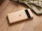 Sommige Pixel 6 en Pixel 6 Pro hoesjes verouderen slecht, slechts een paar maanden na hun release. (Afbeelding bron: Google)