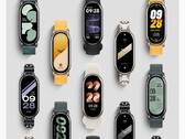 De Smart Band 8 heeft het 1,6 inch en 60 Hz AMOLED-scherm van zijn voorganger behouden. (Afbeeldingsbron: Xiaomi)