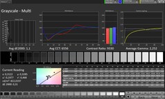 Grijswaarden (kleurmodus: Professional, doelkleurruimte: sRGB)