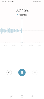 De standaard audiorecorder. (Afbeeldingsbron: Sergey Tarasov - Notebookcheck)