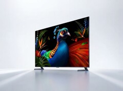 Het model is verkrijgbaar in de maten 65, 75, 85 en 95 inch.