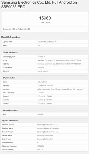 Exynos 2500 Geekbench score (bron: Geekbench)