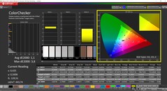 CalMAN ColorChecker (profiel: sRGB, doelkleurruimte: sRGB)