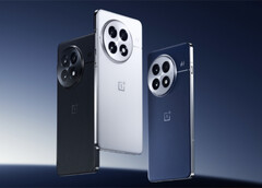 De OnePlus 13. (Afbeelding bron: OnePlus)