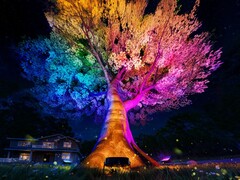 Govee's Outdoor Tree Lights (foto) zullen in september 2025 op de markt komen. (Afbeeldingsbron: Govee)