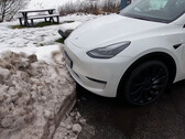 High Fidelity Park Assist wordt niet naar alle Tesla's uitgerold (Afbeelding: Tech & Tesla Zweden/YouTube)