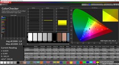 CalMAN ColorChecker gekalibreerd