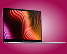 HP verkoopt de OmniBook X 17 in één kleur.