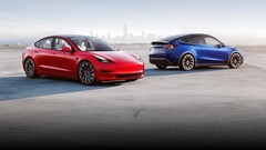 Basis Model 3 en Model Y kunnen binnenkort het belastingkrediet verliezen (afbeelding: Tesla)