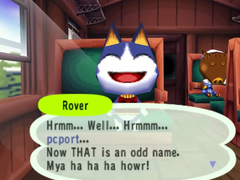 Een screenshot van gameplay van de PC-port van Animal Crossing