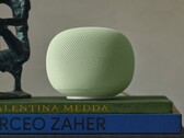 De Google Home-luidspreker staat al geruime tijd in de Amerikaanse Google Store.