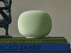 De Google Home-luidspreker staat al geruime tijd in de Amerikaanse Google Store.