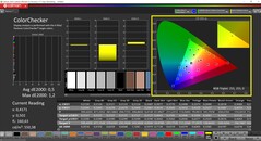 CalMAN ColorChecker (profiel: sRGB, doelkleurruimte: sRGB)