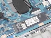 De SSD en CPU hebben een beperkte koeling, waarschijnlijk door het zeer lage doelgewicht van de Dynabook laptop (Afbeelding bron: Notebookcheck)