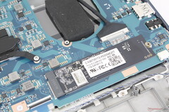 De SSD en CPU hebben een beperkte koeling, waarschijnlijk door het zeer lage doelgewicht van de Dynabook laptop (Afbeelding bron: Notebookcheck)