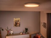 De nieuwe Philips Hue Aurelle plafondlampen (foto) zullen goedkoper zijn dan de originele versies. (Afbeeldingsbron: Philips Hue)