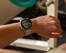 Garmin heeft nu vijf v20.xx updates naar de Fenix 8 en zijn soortgenoten geduwd, maar niet naar de Fenix 8 Pro. (Afbeelding bron: Garmin)