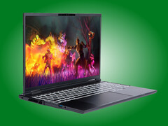 De Adder Pro is voorzien van een OLED-scherm met een verversingsfrequentie van 165 Hz en een beeldverhouding van 16:10.