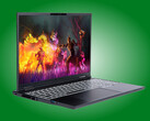 De Adder Pro is voorzien van een OLED-scherm met een verversingsfrequentie van 165 Hz en een beeldverhouding van 16:10.