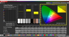 CalMAN ColorChecker (profiel: sRGB, doelkleurruimte: sRGB)