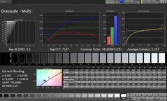Grijswaarden (Kleurmodus: Natuurlijk, Doelkleurruimte: sRGB)