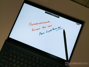 Asus ExpertBook B5 peninvoer
