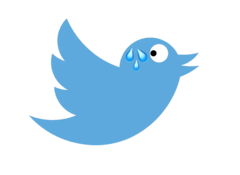 Twitter verloor 3/4 van het personeelsbestand sinds oktober 2022 (Bron: Twitter-logo met bewerkingen)