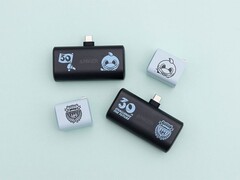 Anker's Kawasaki Frontale accessoires voor de 30e verjaardag