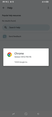 Chrome 137 is vooraf geïnstalleerd. (Afbeeldingsbron: Sergey Tarasov - Notebookcheck)